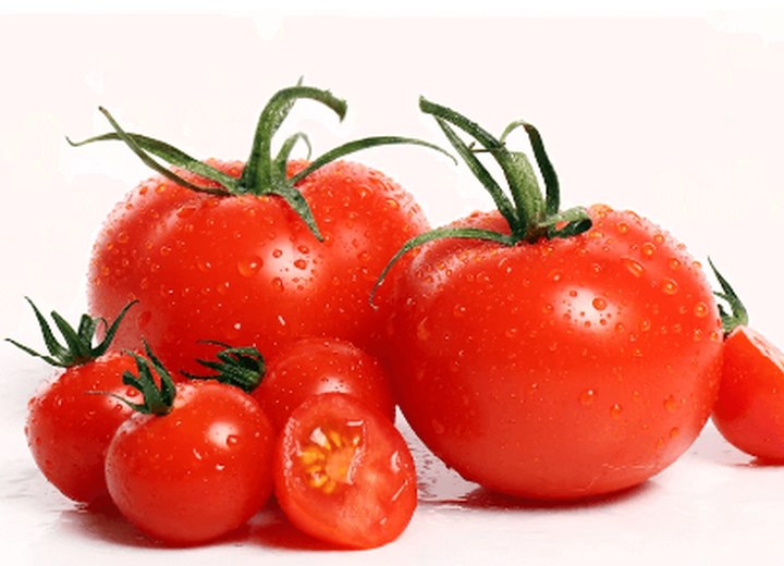 Representative view of Tomato